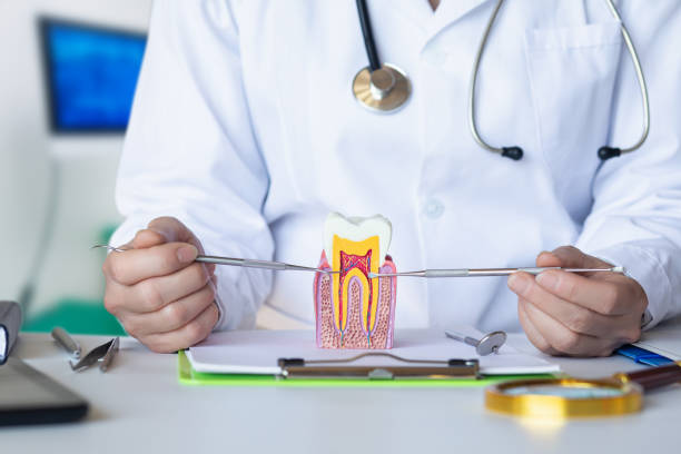 Best Tooth Pain Emergency Relief  in Miami Heights, OH
